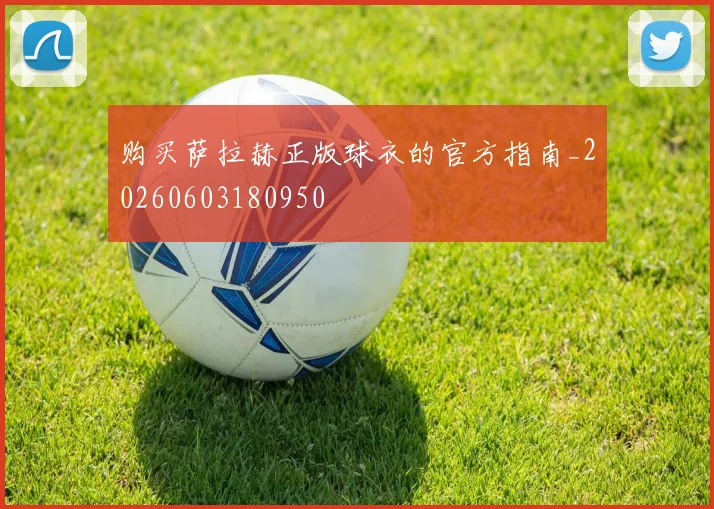 购买萨拉赫正版球衣的官方指南_20260603180950