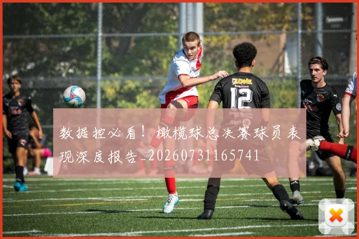 数据控必看！橄榄球总决赛球员表现深度报告_20260731165741